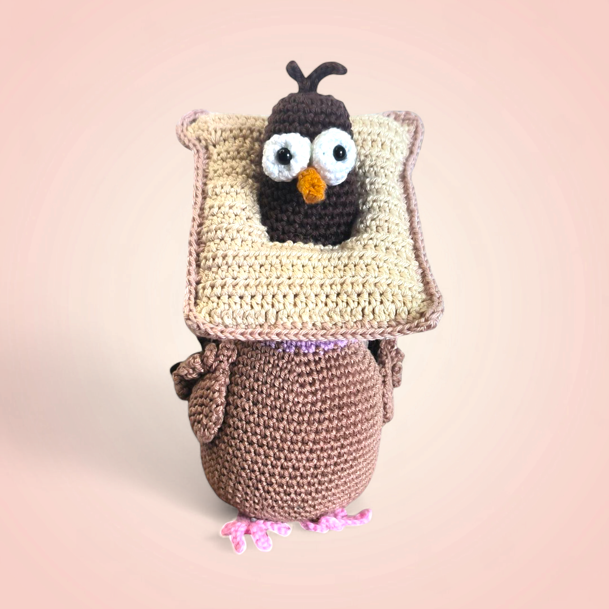 Pigeon in Paris au crochet